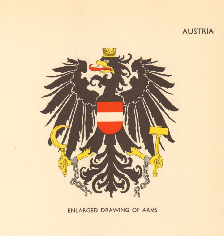 AUSTRIA FLAGS. Enlarged Drawing of Arms 1955 old vintage print picture